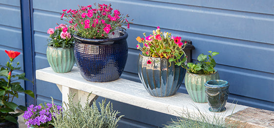 Glazed pots are all the rage right now!